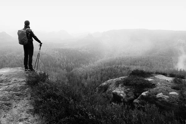 Muž tramp s trekingové hole a červeným batohem na skále. Staré keře vřes roste v rock — Stock fotografie