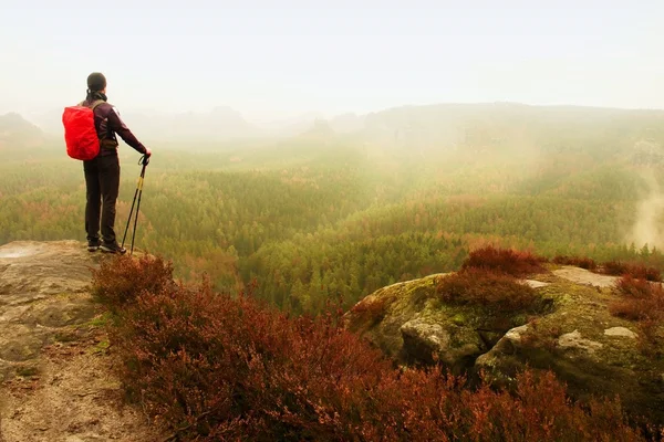 Man hiker with trekking poles  and red backpack  on rock. Old heather bushes grows in rock — Stock Photo, Image