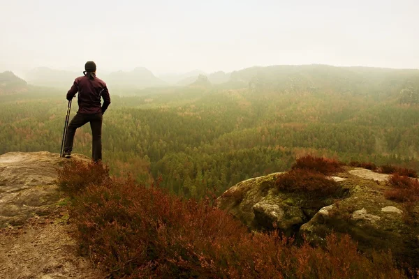 Man hiker in dark sportswear and poles stand on mountain peak rock. Red heather bushes — Stock Photo, Image