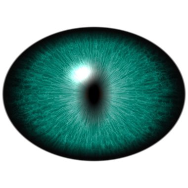 Yeşil göz büyük öğrenci ve parlak retina ile. Öğrenci çevresinde koyu yeşil iris.