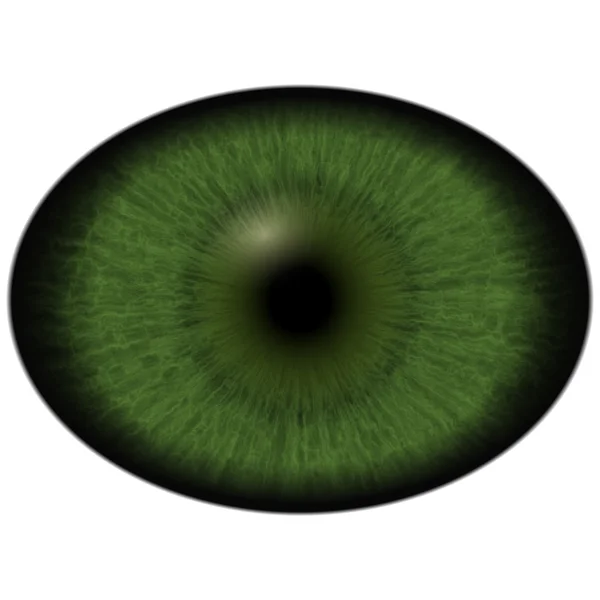 Green eye with large pupil and bright retina. Dark green iris around pupil. — Stock Photo, Image