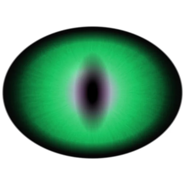 Zelené oko s velkým žáka a světlé sítnice. Tmavě zelená iris kolem zornice. — Stock fotografie