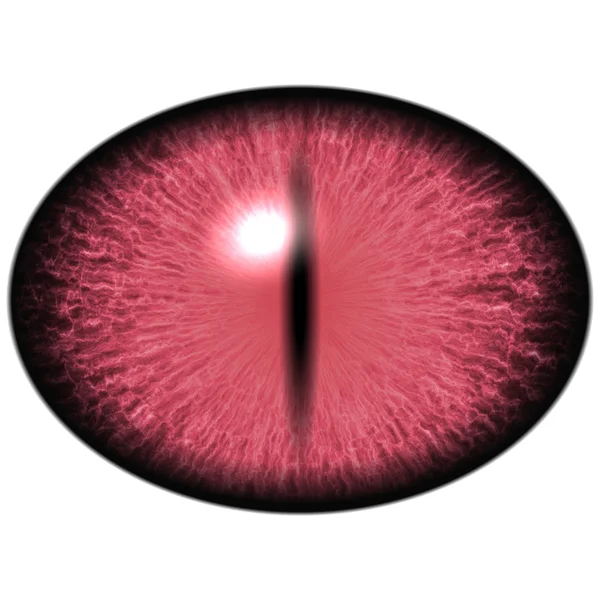 Red purple eye with large pupil and dark retina. Dark purple iris around pupil, — Stock Photo, Image