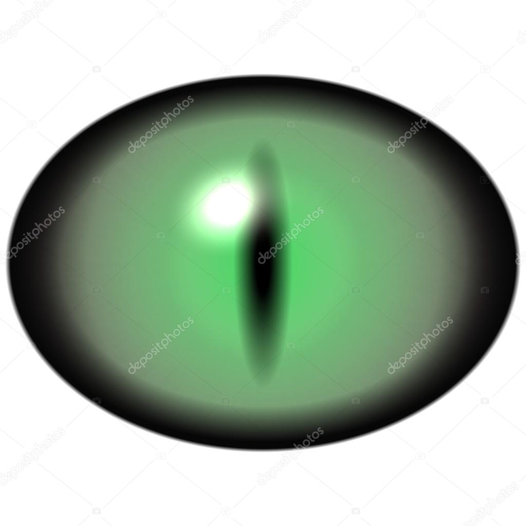 Öğrenciler ne için dilate edildi Öğrenciler ne için dilate edildi