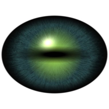 Yeşil göz büyük öğrenci ve parlak retina ile. Öğrenci çevresinde koyu yeşil iris.
