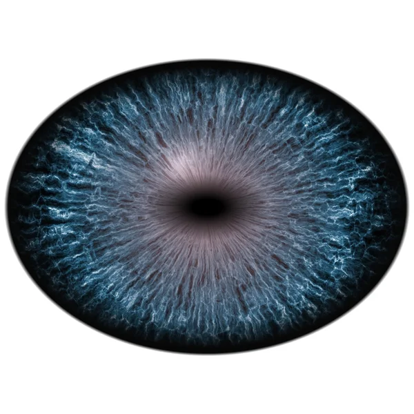 Isolated blue eye. Big eye with striped iris and dark elliptic pupil, dark retina. — Stock Photo, Image