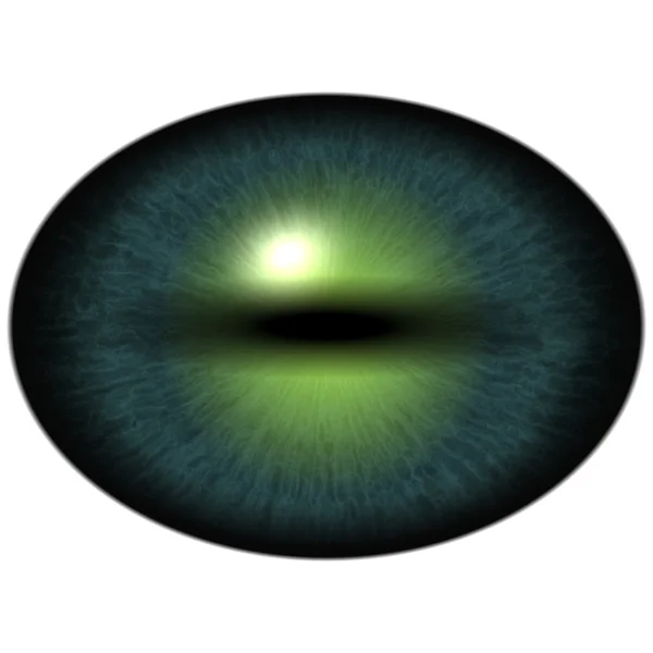 Green eye with large pupil and bright retina. Dark green iris around pupil. — Stock Photo, Image