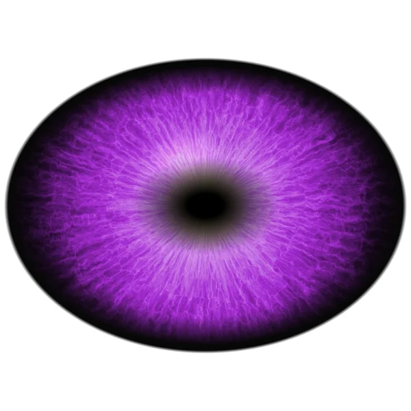 Pictures : purple eyes | Isolated purple eye. Monster eye with striped ...