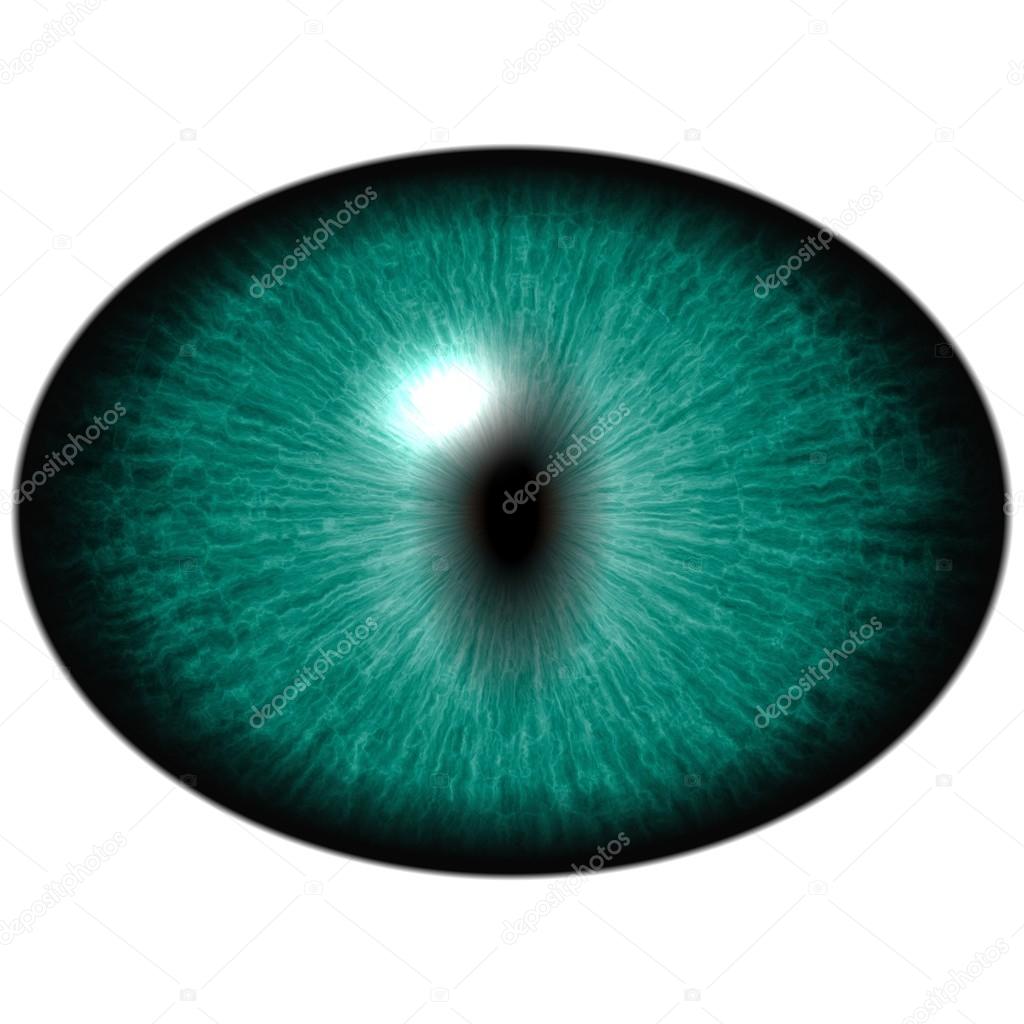 Öğrenciler ne için dilate edildi Öğrenciler ne için dilate edildi