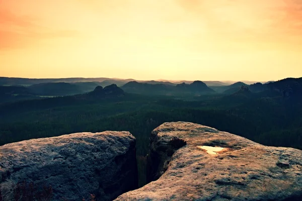 Morgon vy över sandsten klippa in skogen dalen, gryningen solen vid horisonten. — Stockfoto