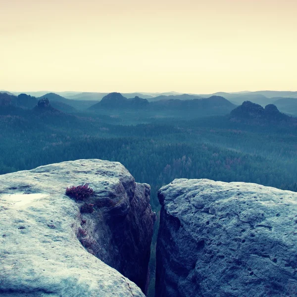 Morgon vy över sandsten klippa in skogen dalen, gryningen solen vid horisonten. — Stockfoto