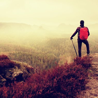 Adam hiker trekking Polonyalılar ve kayada kırmızı sırt çantası ile. Eski heather çalı yetişir kaya