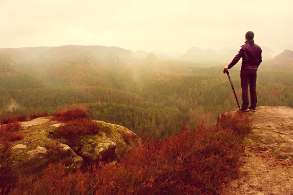 Hombre excursionista en ropa deportiva oscura y postes de pie en la roca pico de la montaña. Arbustos de brezo rojo — Foto de Stock