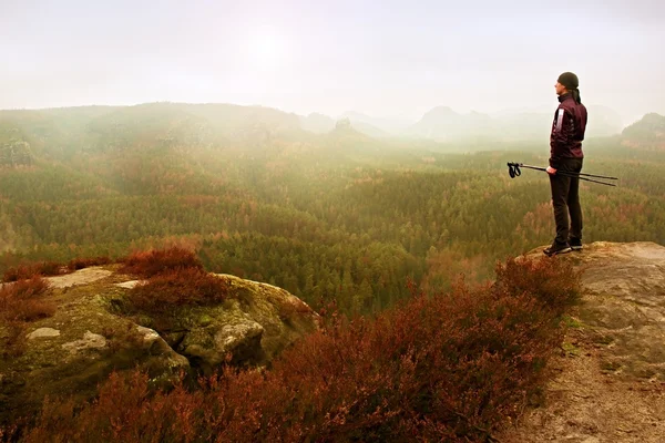 Man hiker in dark sportswear and poles stand on mountain peak rock. Red heather bushes — Stock Photo, Image