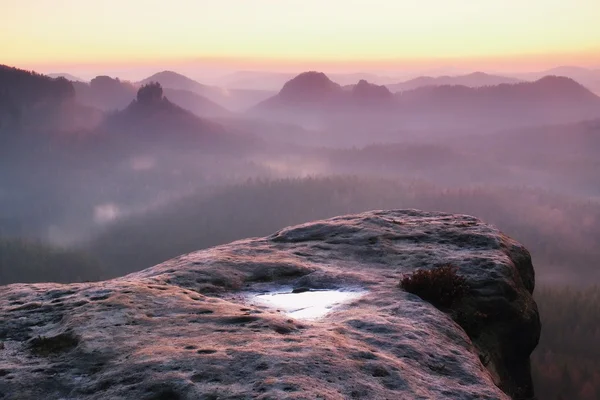 Matin brumeux et rêveur dans un paysage forestier. Majestueux pics couper brouillard d'éclairage. Vallée profonde — Photo