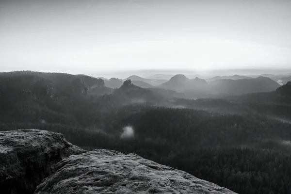 Misty uppvaknande i vackra bergen park. Topparna av hills — Stockfoto