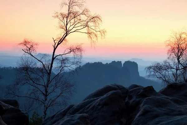 Deep misty valley within sunset. Foggy and misty moment on sandstone view poin — Stock Photo, Image