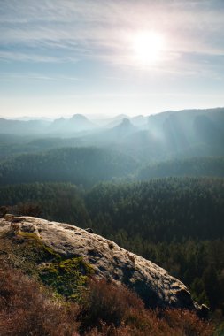 Orman manzara bahar puslu sabah. Görkemli doruklarına aydınlatma sis kesti. Derin vadi renkli sis dolu ve kayalık hills Güneş'e devam mı.