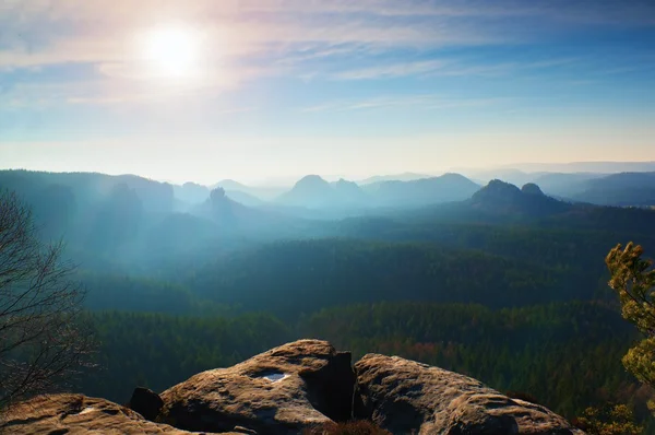 Lente mistige ochtend in boslandschap. Majestueuze toppen gesneden verlichting mist. Diepe vallei zit vol met kleurrijke mist en rotsachtige heuvels zijn steken aan zon. — Stockfoto