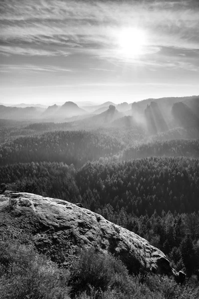 All'alba nebbioso in un bellissimo paesaggio collinare. Cime di colline sporgono dalla nebbia — Foto Stock