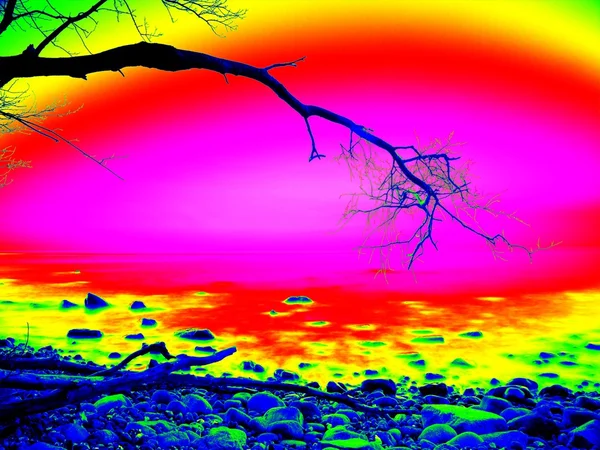 Thermography measurement of ultra violet light. Bended branches above warm sea — Stock Photo, Image