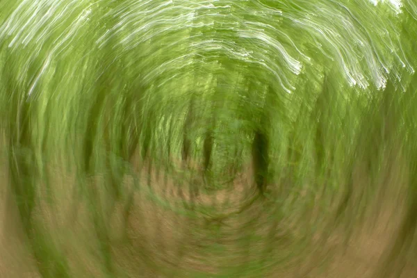 Defokussiert Waldkreis Hintergrund. unscharfe und defokussierte frische grüne Farben — Stockfoto