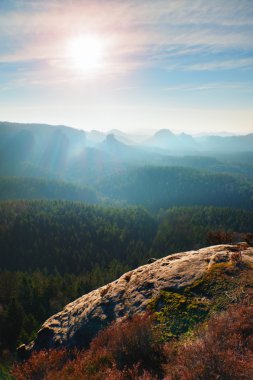 Orman manzara bahar puslu sabah. Görkemli doruklarına aydınlatma sis kesti. Derin vadi renkli sis dolu ve kayalık hills Güneş'e devam mı.