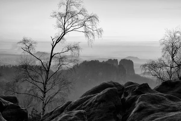 Djupt misty valley i solnedgången. Dimmigt och disigt nu på sandsten Visa poin — Stockfoto