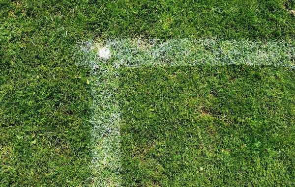 Angolo di campo di calcio all'aperto parco giochi, erba erba naturale — Foto Stock