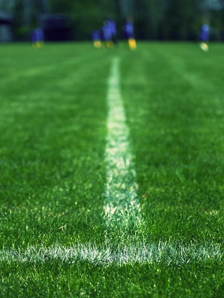 Közelkép a kilátás a foci játszótér fehér vonalak. A kereszt-sorok egy focipálya részlete. — Stock Fotó