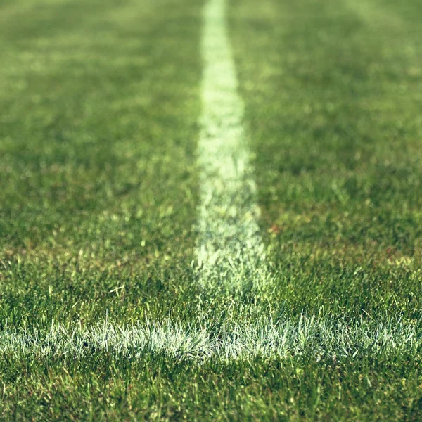 Vista de cerca de las líneas blancas en el patio de fútbol. Detalle de una cruz de líneas en un campo de fútbol . — Foto de Stock