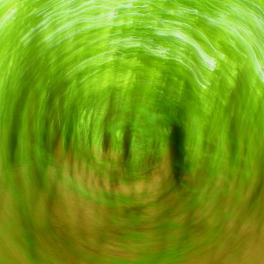 Ufuk orman daire arka plan. Bulanık ve taze yeşil renkleri de odaklı 