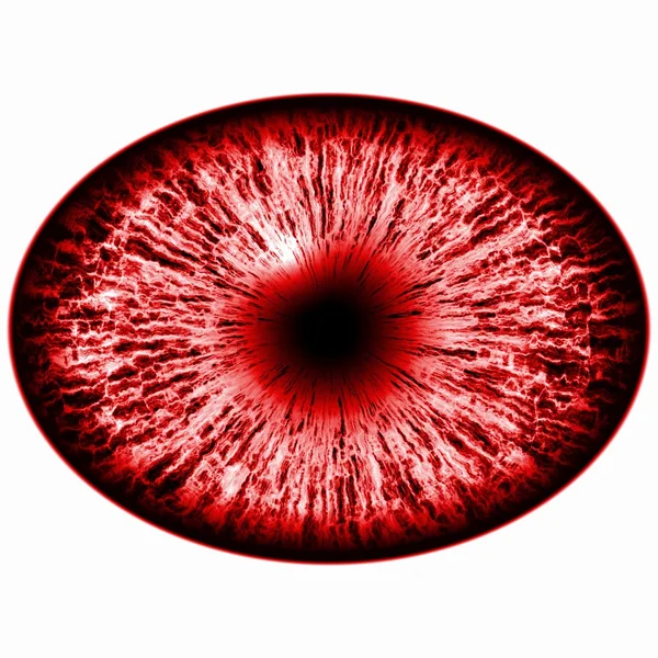 Seven eyes set. Isolated red elliptic eye. Eye with iris and pupil. — Stock Photo, Image