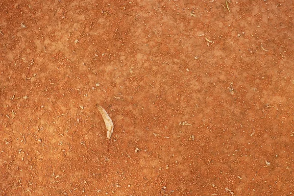 Folha de limão seca um campo de tênis. Tijolos triturados secos — Fotografia de Stock