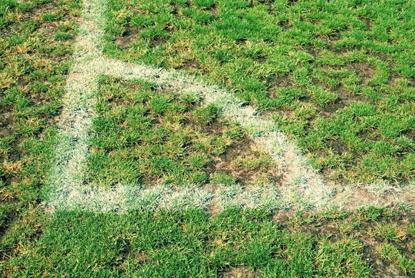 Angolo di campo da calcio, erba naturale — Foto Stock