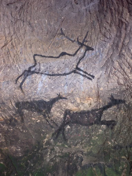 Pintura de carbono negro de ciervos en la pared de arenisca, cuadro prehistórico —  Fotos de Stock