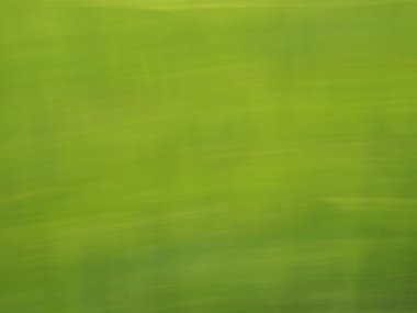 Çiçekler ve bitkiler taşınan arka plan alanında arpa defocused.