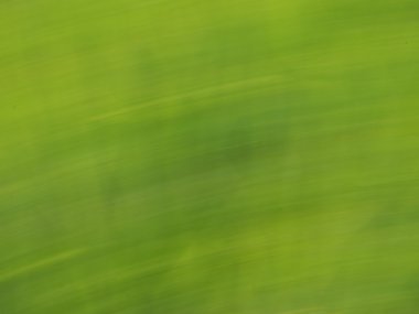 Çiçekler ve bitkiler taşınan arka plan alanında arpa defocused.