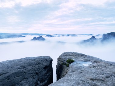 Soğuk sisli sonbahar toprak renkli gölgelerde. Kayalık gulch