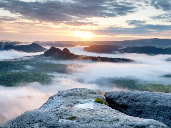 Maravilloso amanecer. Despertar brumoso en una hermosa colina. Picos de colinas sobresalen del fondo brumoso, la niebla es roja y naranja debido a los rayos del sol . — Foto de Stock