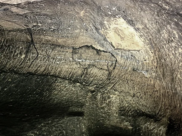 Vadászat bivaly. Emberi vadászat homokkő falon, őskori képet fest. — Stock Fotó