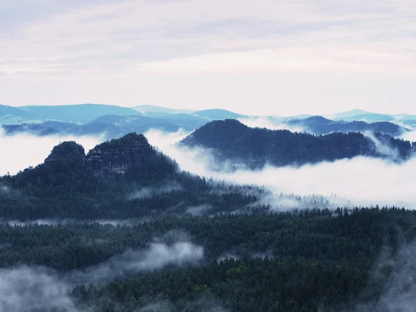 Summer sunrise forest after heavy rain. Beautiful mountain within inversion. — Stock Photo, Image