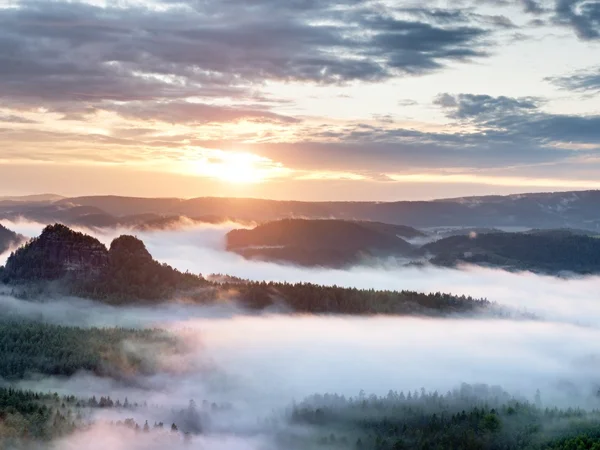 Summer sunrise forest after heavy rain. Beautiful mountain within inversion. — Stock Photo, Image