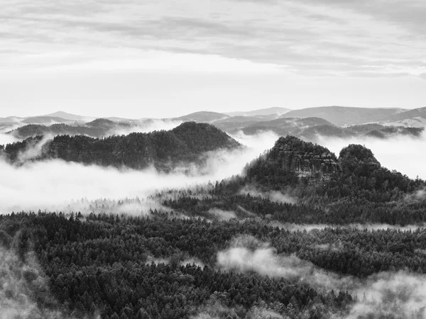 Nebliger Morgen nach starkem Regen in verrauchten Bergen — Stockfoto