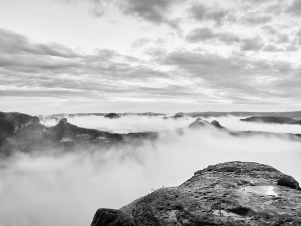 スモーキー山で大雨の後霧の朝 — ストック写真