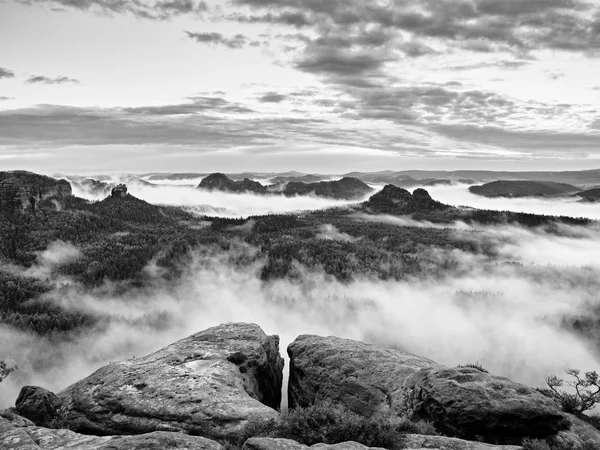 Mistige ochtend na zware regenval in rokerige bergen — Stockfoto