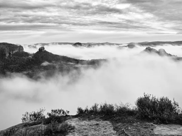 Misty πρωί μετά από δυνατή βροχή σε καπνιστή βουνά — Φωτογραφία Αρχείου