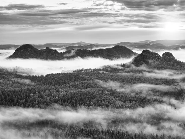 Nebliger Morgen nach starkem Regen in verrauchten Bergen — Stockfoto