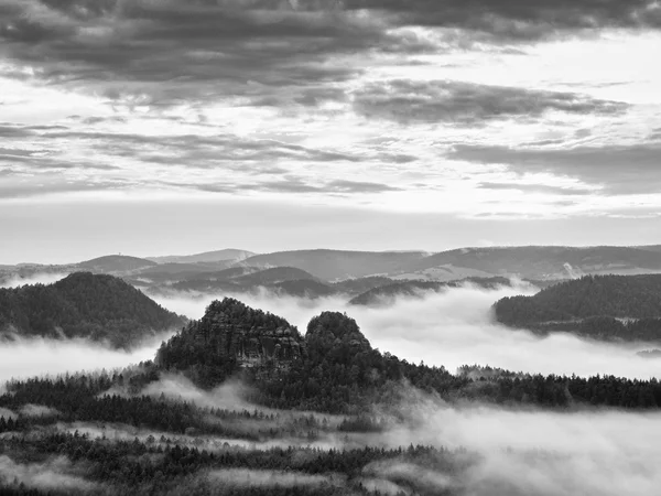 Dimmig morgon efter regn i rökiga bergen — Stockfoto
