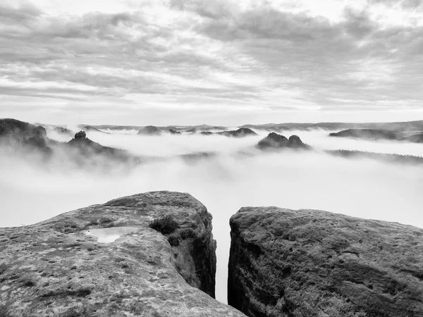 Freddo nebbioso autunno terra in ombre colorate. Gulch roccioso — Foto Stock